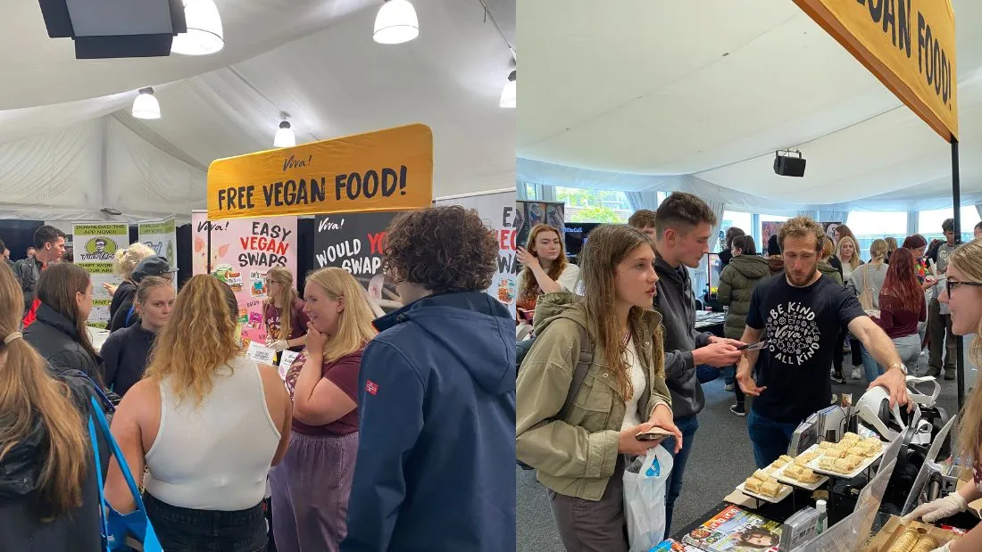 Students engage with campaigners at Viva! freshers event