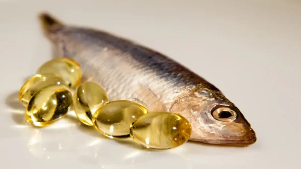 How do you make fish online oil