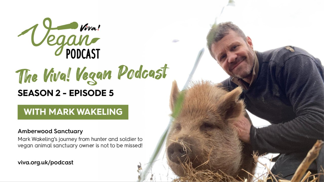 Viva! Vegan Podcast: Mark Wakeling | Viva!