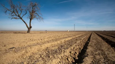 Parched land