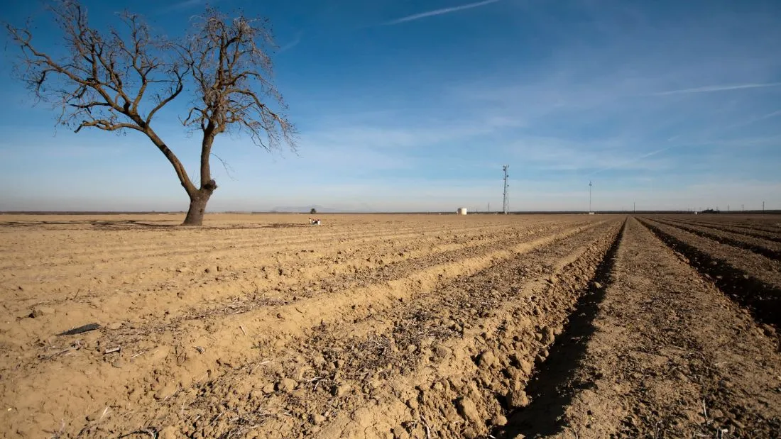 Parched land