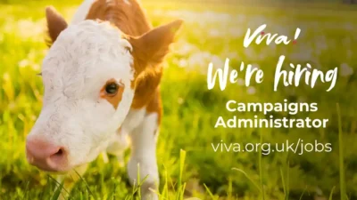 Campaigns Administrator Jobs