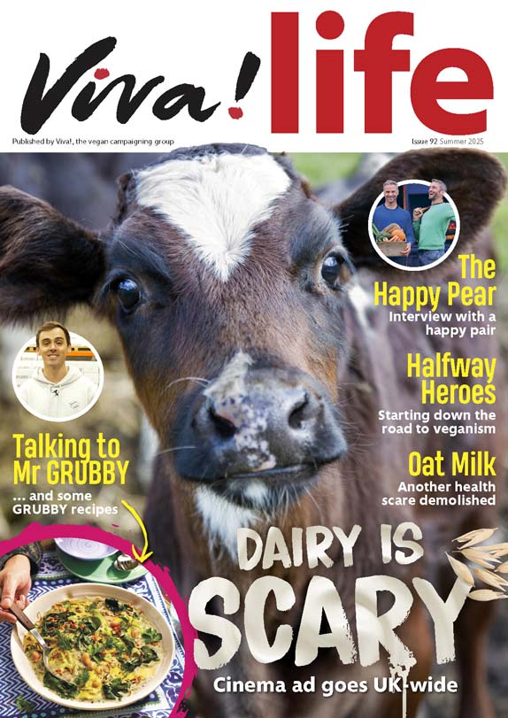 Viva!life 92 cover